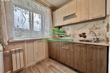 1-к квартира, 29,8 м², 4/5 эт.